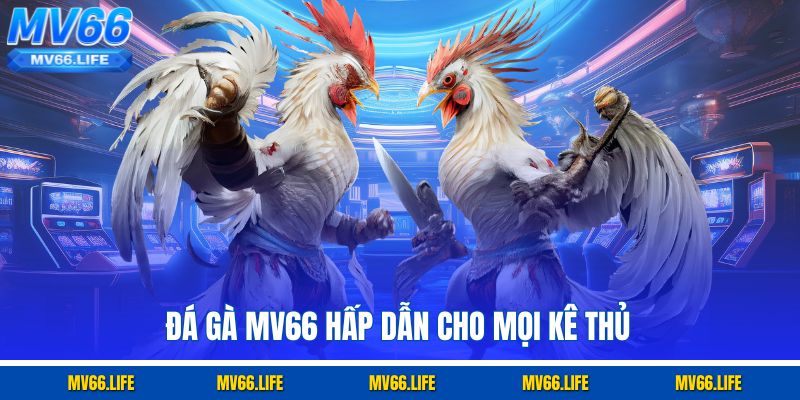 Đá gà online MV66 hấp dẫn cho mọi kê thủ